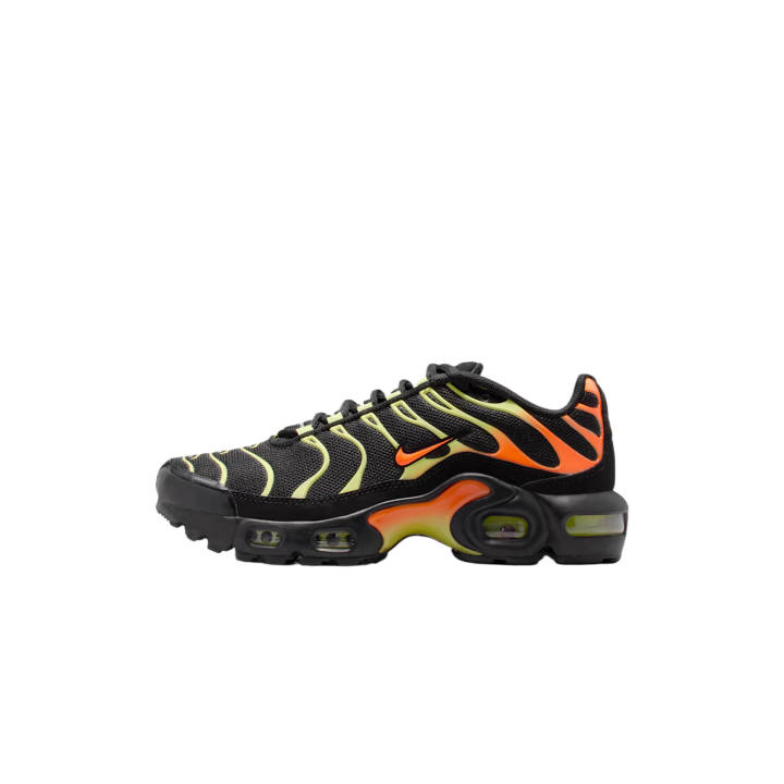 Nike Nike Air Max Plus Outdoor Shoes Unisex