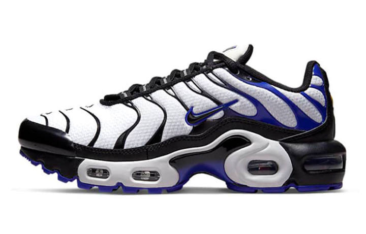 Nike Nike Air Max Plus Persian Violet GS