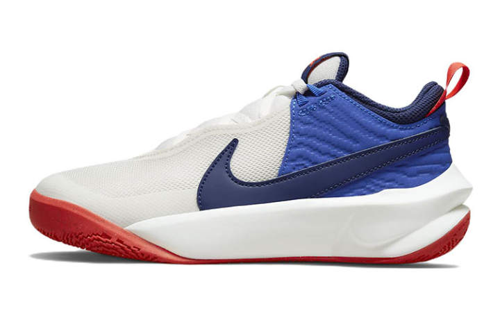 Nike Nike Team Hustle D 10 Low top Basketball Shoes Unisex