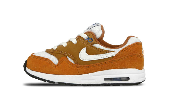 Nike Nike Air Max 1 Curry 2018 TD