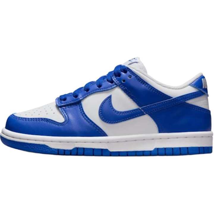 Nike Nike Dunk Low top Skateboard Shoes White Blue Unisex
