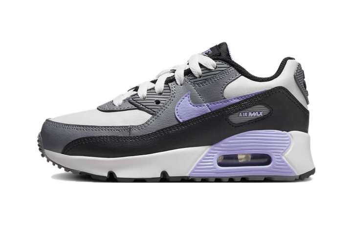 Nike Nike Air Max 90 Leather PS 'Light Thistle'