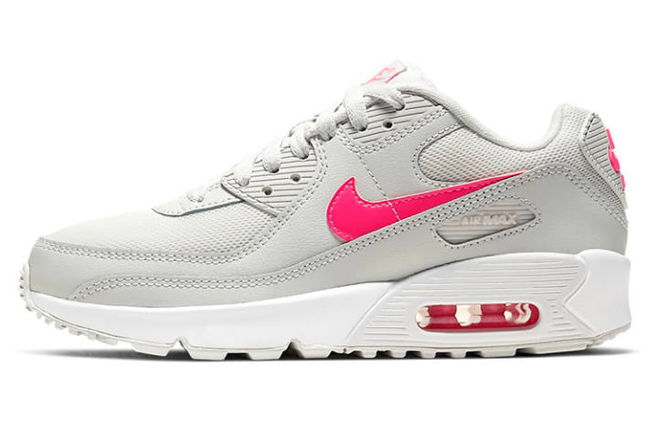 Nike Nike Buy Air Max 90 'Photon Dust Digital Pink' GS