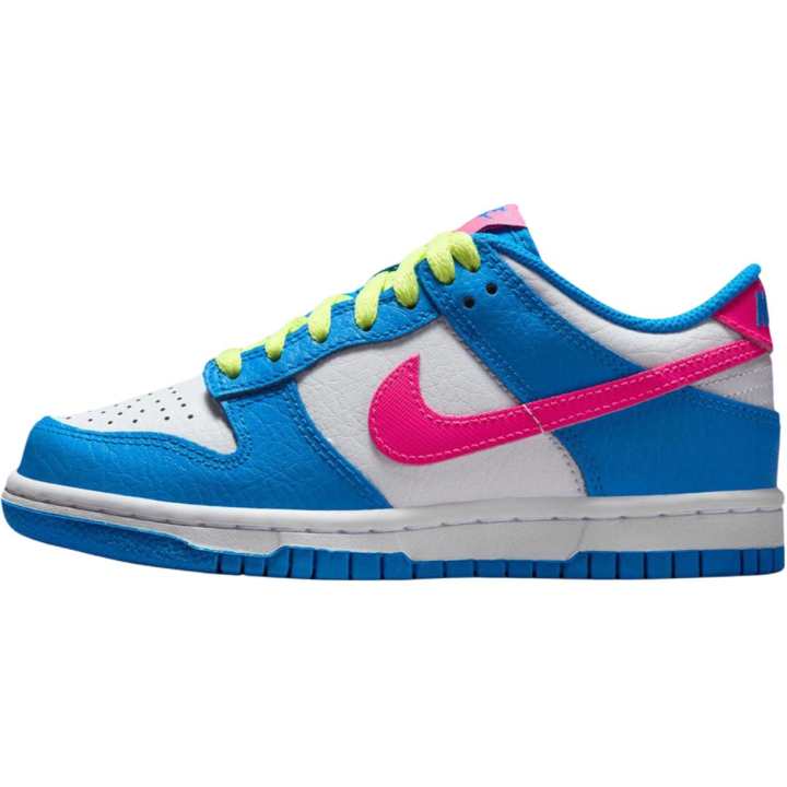 Nike Nike Dunk Leather Low top Skateboard Shoes Blue White Unisex