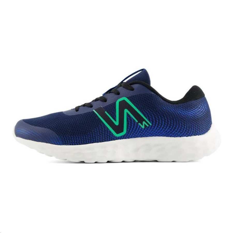 New Balance New Balance NB 520 V8 Comfortable Abrasion Resistant Low top Kids' Running Shoes Blue Kids'