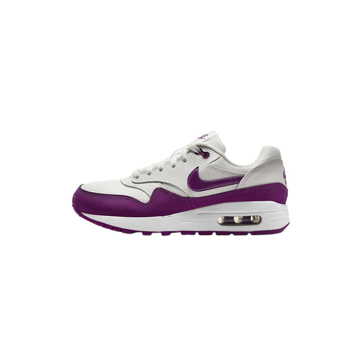 Nike Nike Air Max 1 'Viotect' GS