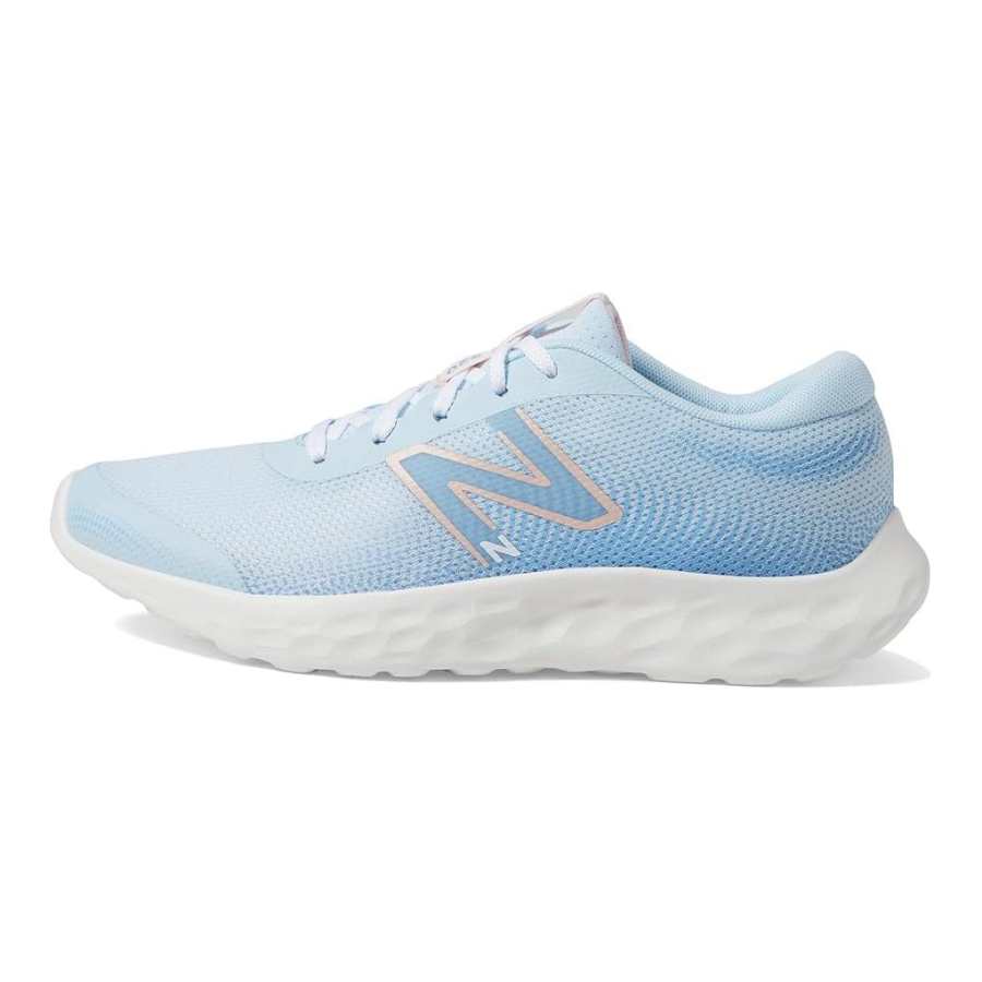 New Balance New Balance NB 520 Cushioning, Wear Resistant Low top Kids' Running Shoes Blue White Kids'