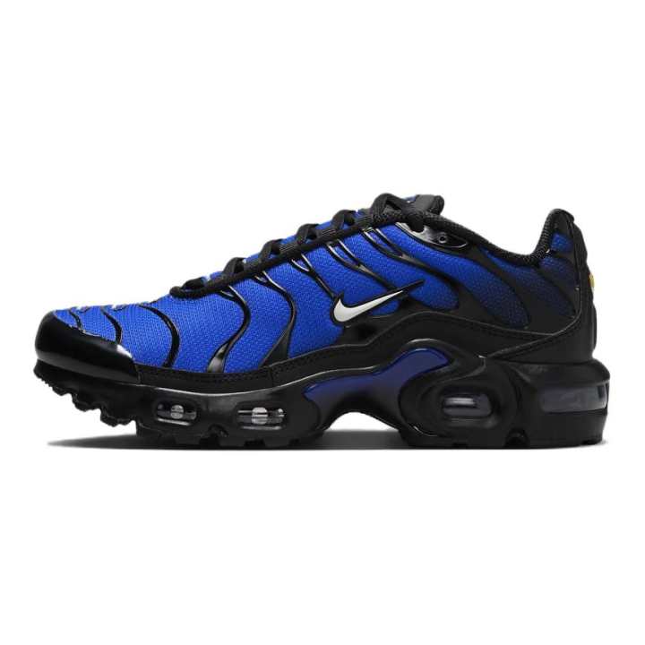 Nike Nike Air Max Plus Low top Running Shoes Blue Black Unisex