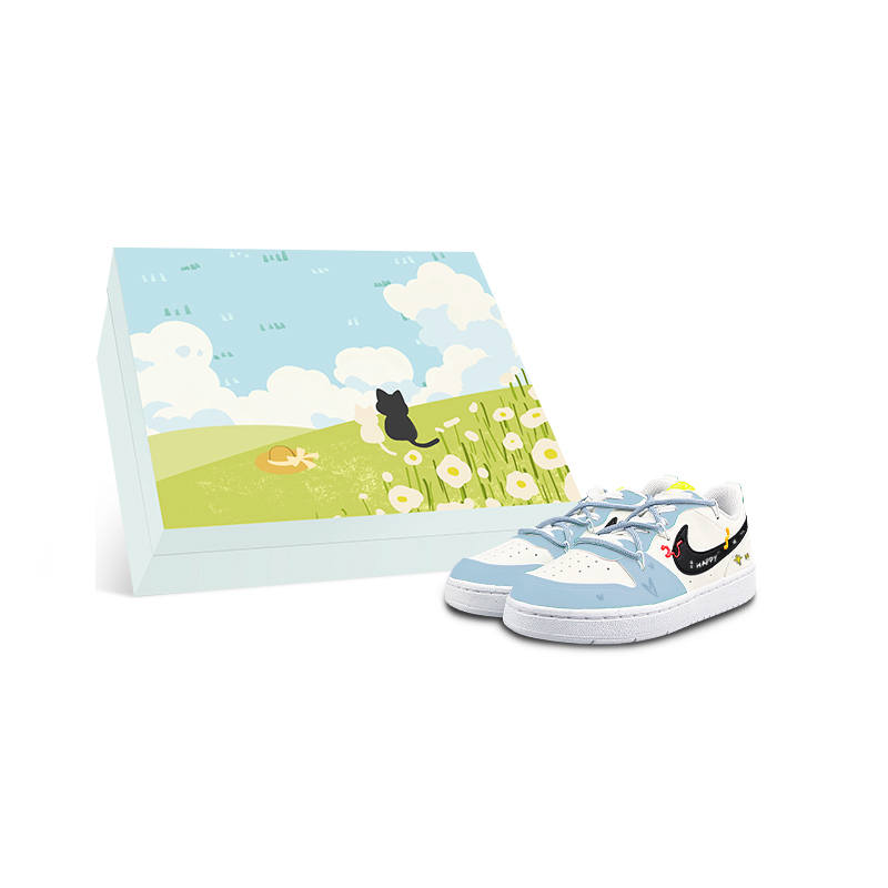 Nike Nike Court Borough Slip Resistant Low top Kids' Skateboarding Shoes White Teenagers