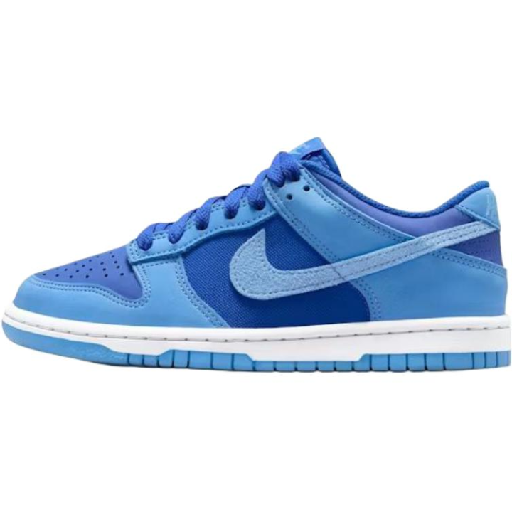 Nike Nike Dunk Low top Skateboard Shoes Royal Blue Unisex