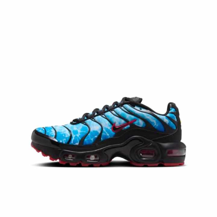 Nike Nike Air Max Plus Low top Running Shoes Blue Black Unisex