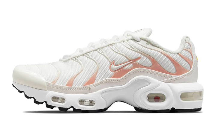 Nike Nike Air Max Plus Low top Running Shoes White Unisex
