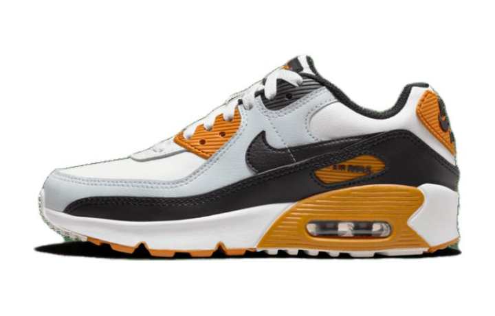 Nike Nike Air Max 90 Leather Monarch GS