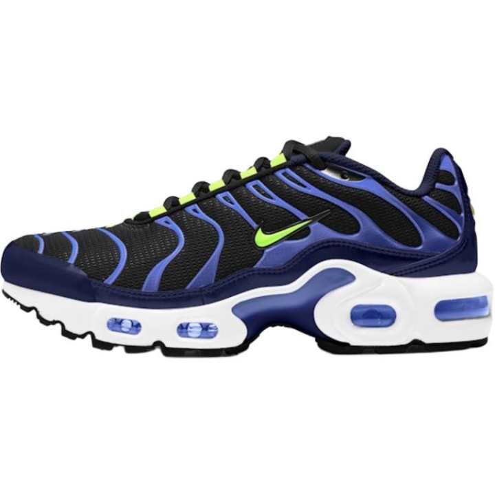 Nike Nike Air Max Plus Low top Running Shoes Black Unisex
