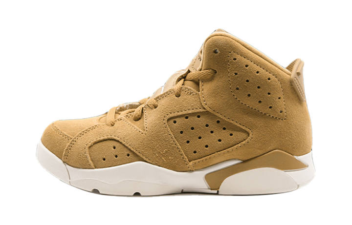 Jordan Jordan 6 Retro Golden Harvest PS