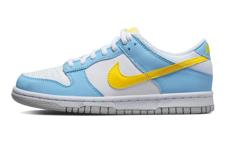 Nike Nike Dunk Skateboard Shoes Unisex