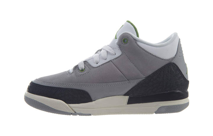 Jordan Jordan 3 Retro Chlorophyll PS
