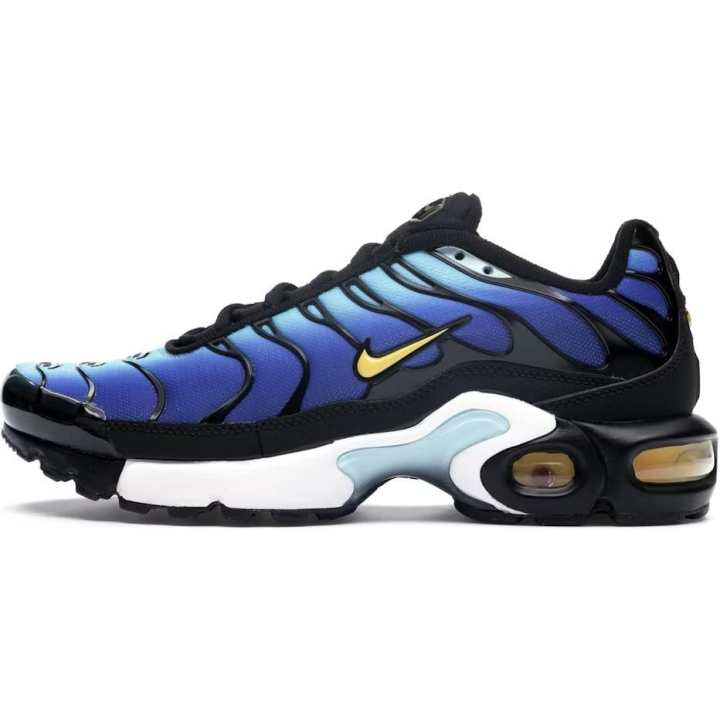 Nike Nike Air Max Plus Low top Running Shoes Blue Black Unisex