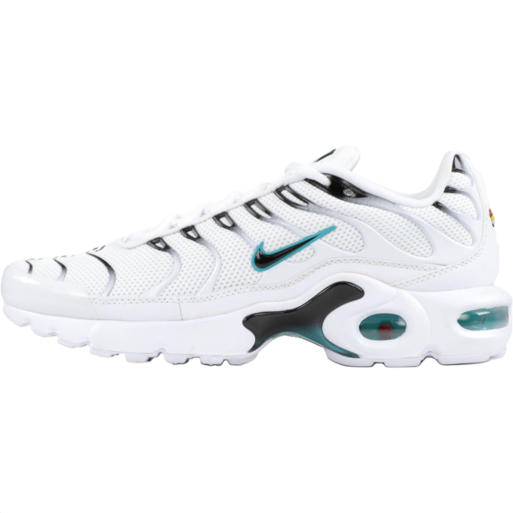Nike Nike Air Max Plus Bg 'Dusty Cactus'
