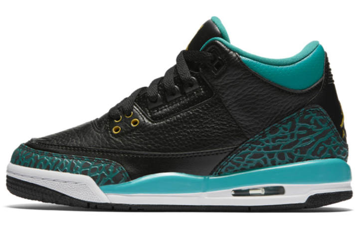 Jordan Jordan 3 Retro Rio Teal GS