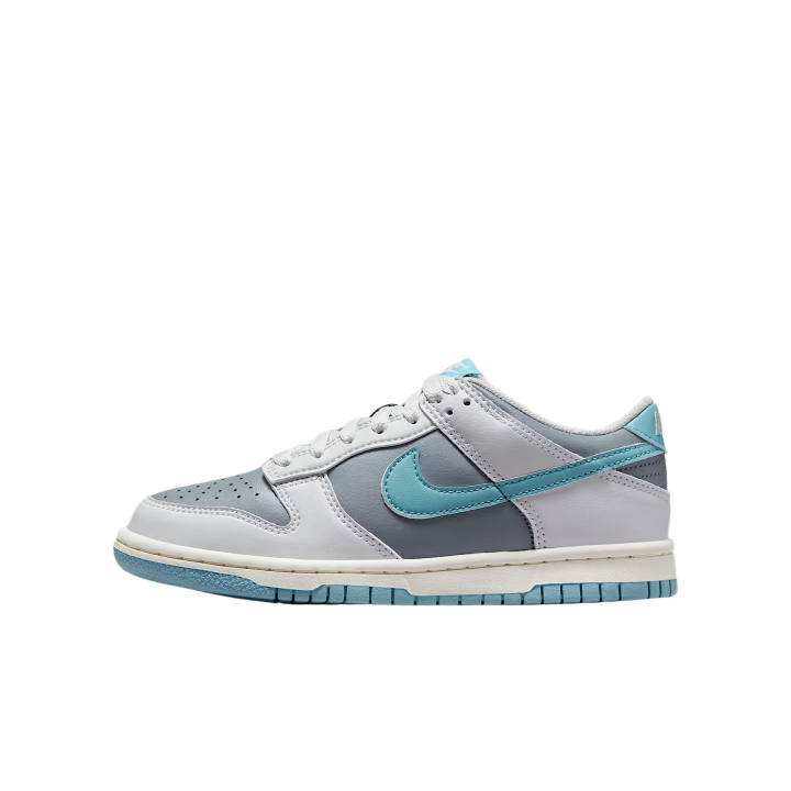 Nike Nike Dunk Low top Skateboard Shoes Gray Unisex
