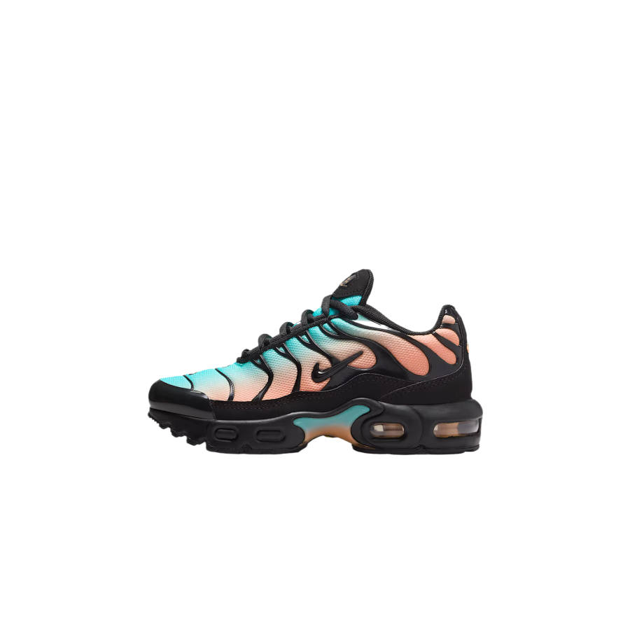 Nike Nike Air Max Plus Kids Lifestyle Shoes Black Kids'