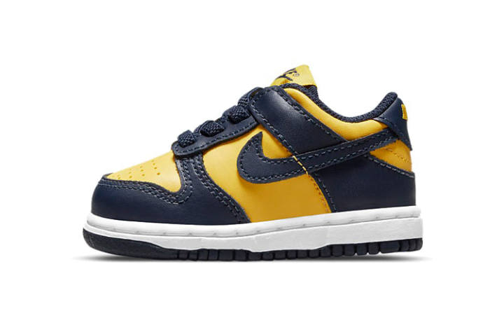 Nike Nike Dunk Low Michigan 2021 TD