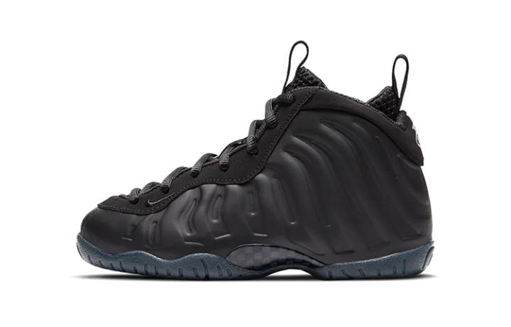Nike Nike Air Foamposite One Anthracite 2020 PS