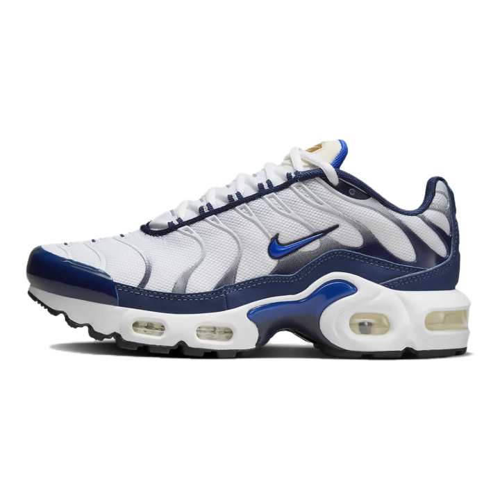 Nike Nike Air Max Plus Low top Running Shoes White Blue Unisex