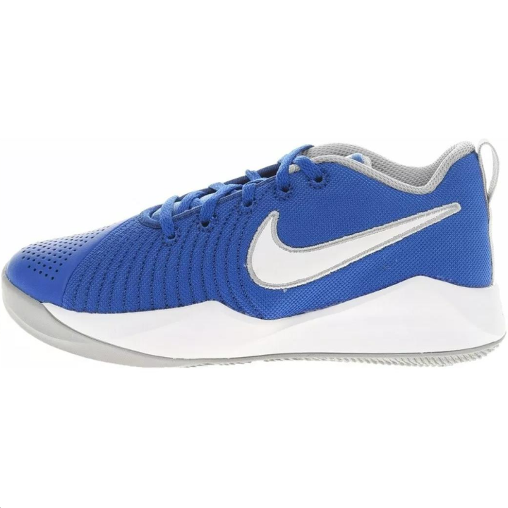 Nike Nike Team Hustle Quick Low top Basketball Shoes Blue White Unisex