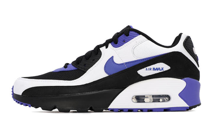 Nike Nike Air Max 90 LTR Persian Violet GS