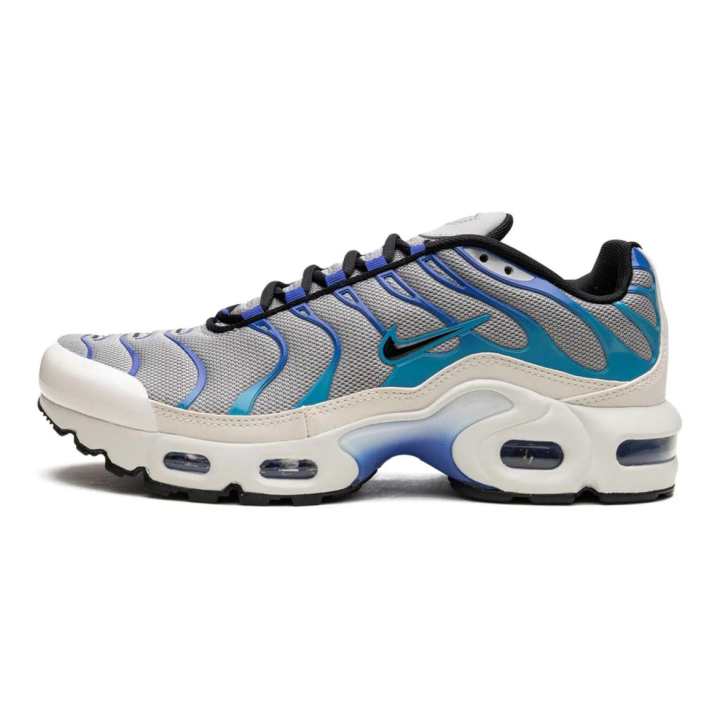 Nike Nike Air Max Plus Low top Running Shoes Gray Blue Unisex