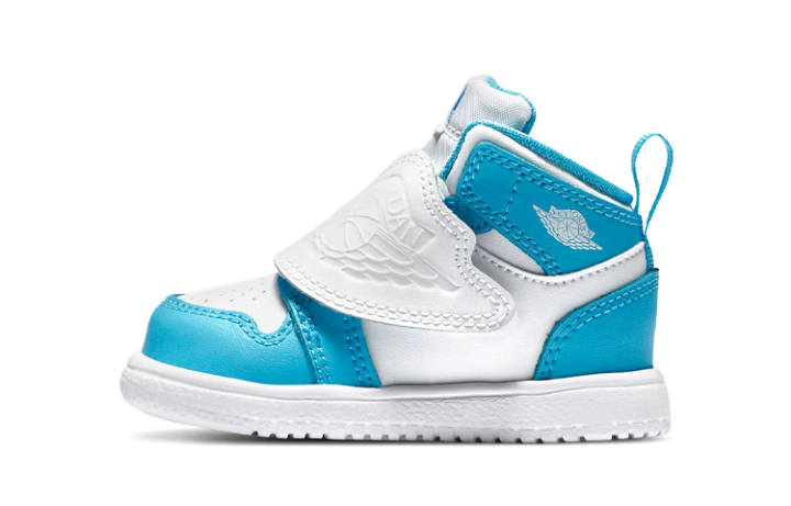 Jordan Jordan Sky Jordan 1 UNC TD