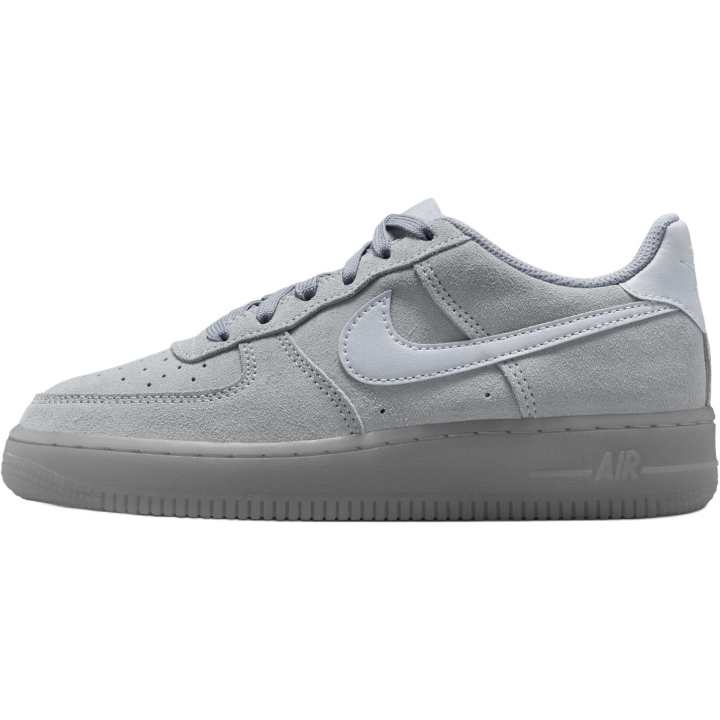 Nike Nike Air Force 1 Low top Skateboard Shoes Gray Unisex