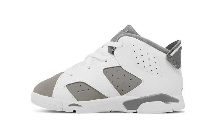 Jordan Jordan 6 Retro Cool Grey TD