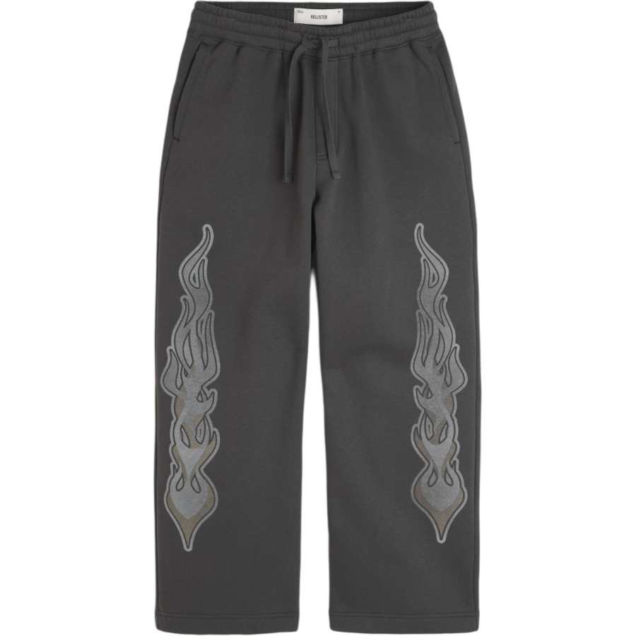 Hollister/ Casual Pants Men's Gray Moderate Straight Fit Pants