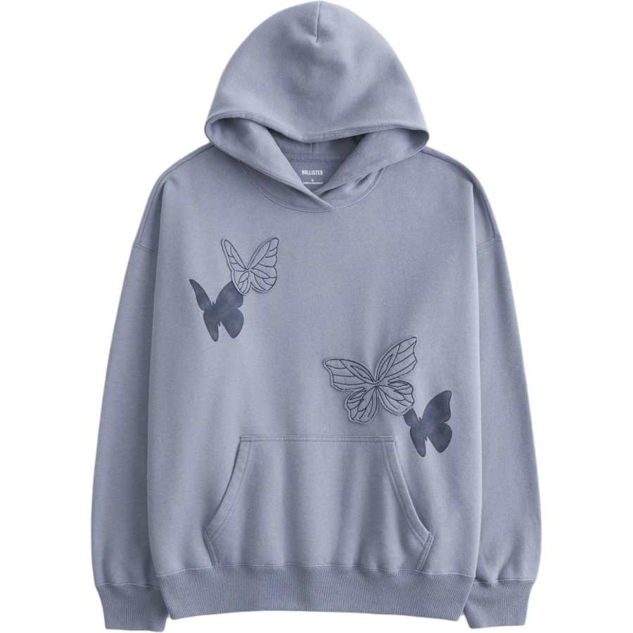 Hollister/ Sweatshirts Women's Blue Hooded Non Detachable Moderate