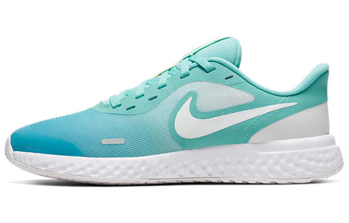 Nike Nike REVOLUTION 5 Cushioning Slip Resistant Low top Running Shoes Blue Green Gradient Unisex