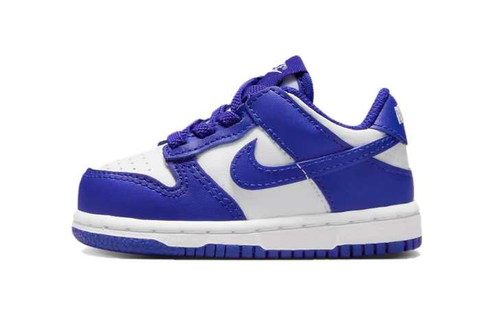 Nike Nike Dunk Low TD 'Concord'
