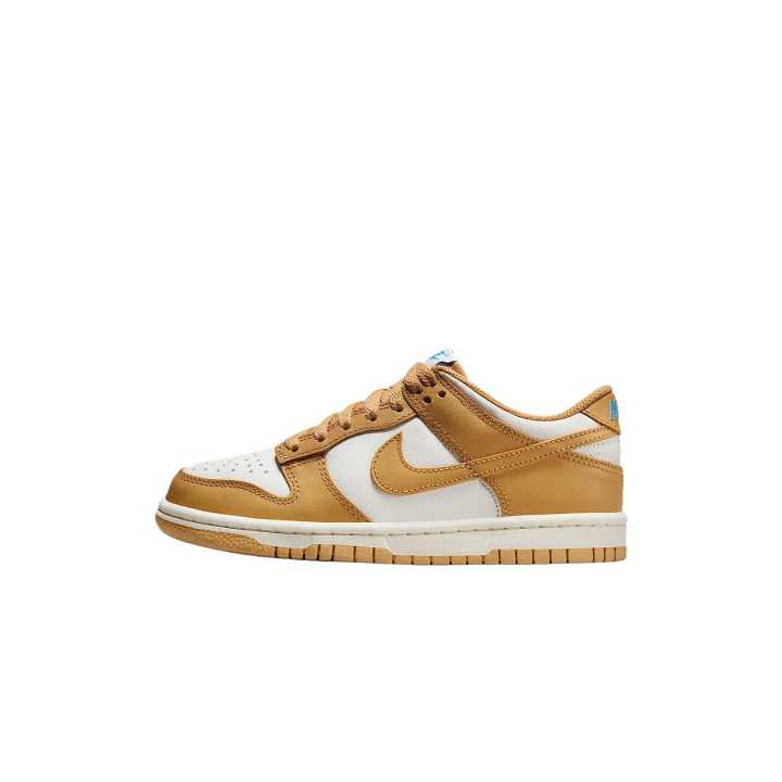 Nike Nike Dunk Skateboard Shoes Unisex