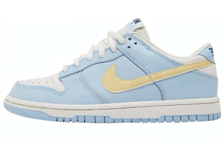 Nike Nike Dunk Low top Skateboard Shoes Blue Unisex