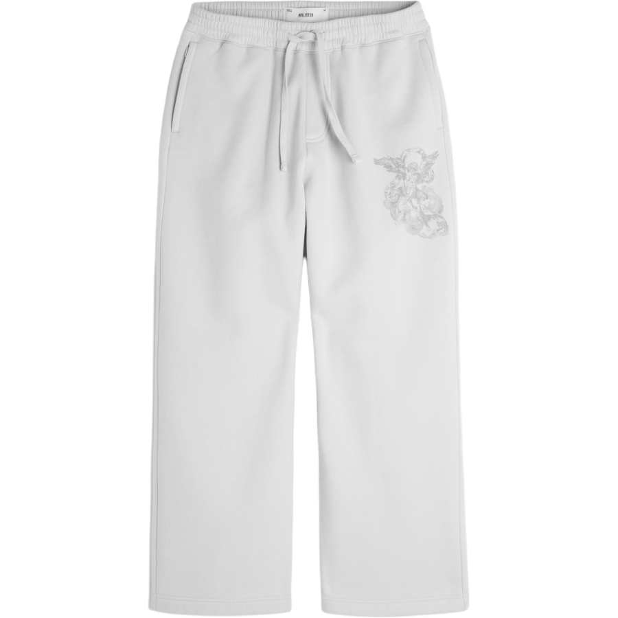 Hollister/ Casual Pants Men's Gray Moderate Straight Fit Pants