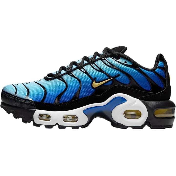 Nike Nike Air Max Plus Training Shoes Blue Black Unisex