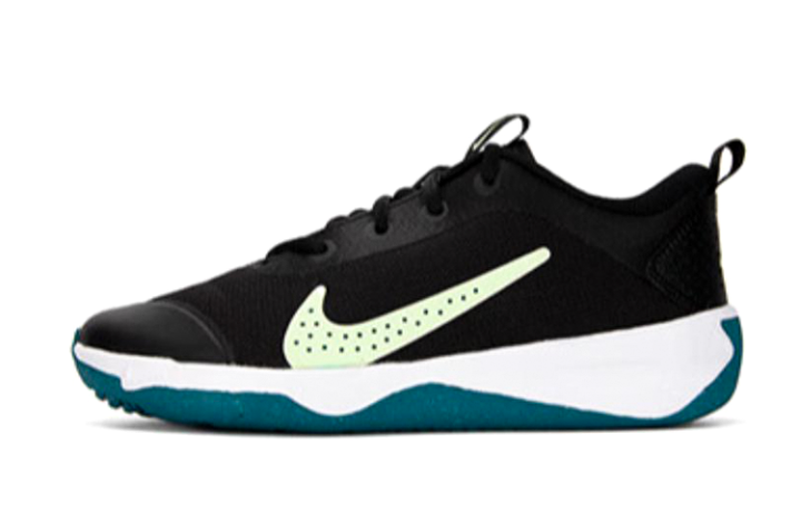 Nike Nike Omni Multi-Court 'Black Bright Spruce' GS