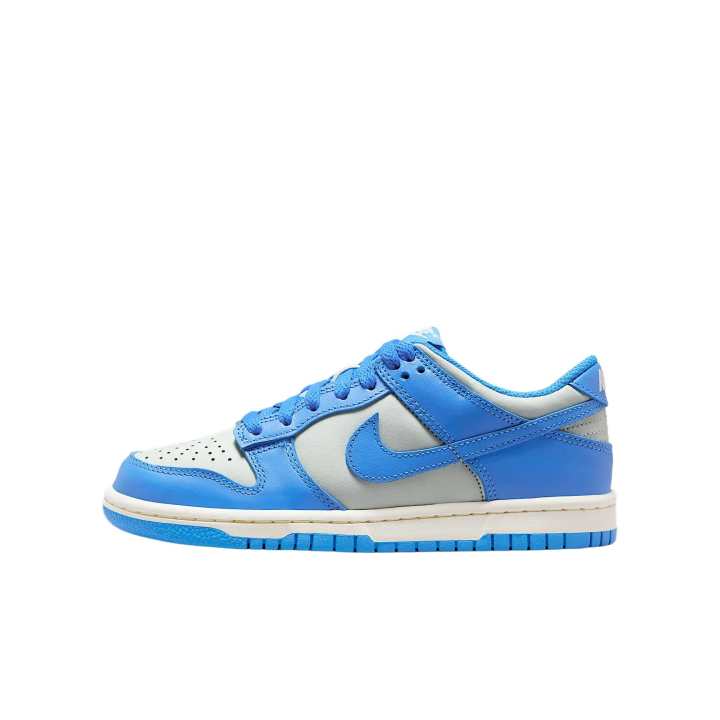 Nike Nike Dunk Low top Basketball Shoes Blue Unisex