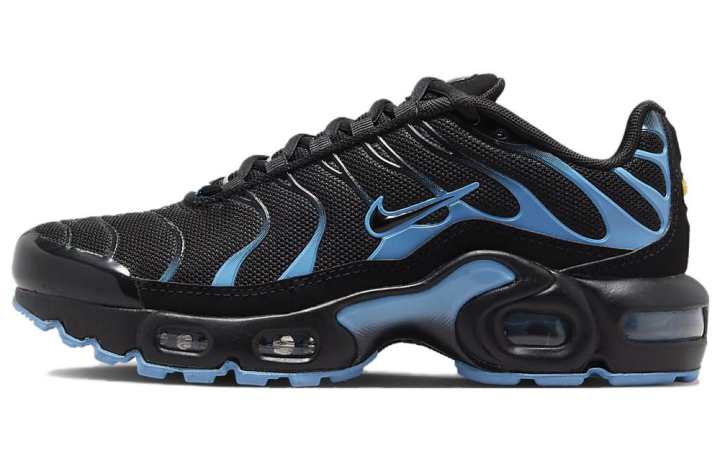 Nike Nike Air Max Plus GS 'Black University Blue'