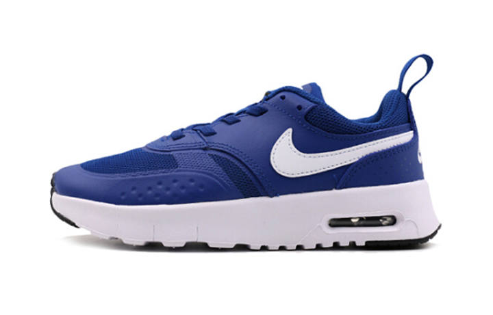 Nike Nike Air Max Vision Kids Lifestyle Shoes Blue White Children Aged 3 7 Years Old