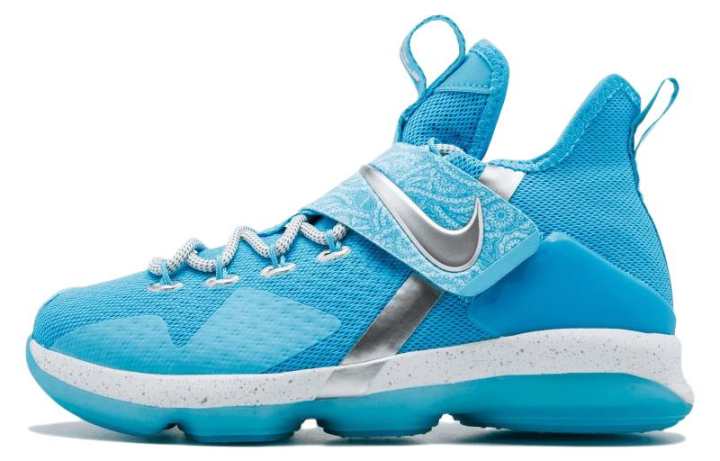 Nike Nike LeBron 14 Ric Flair GS
