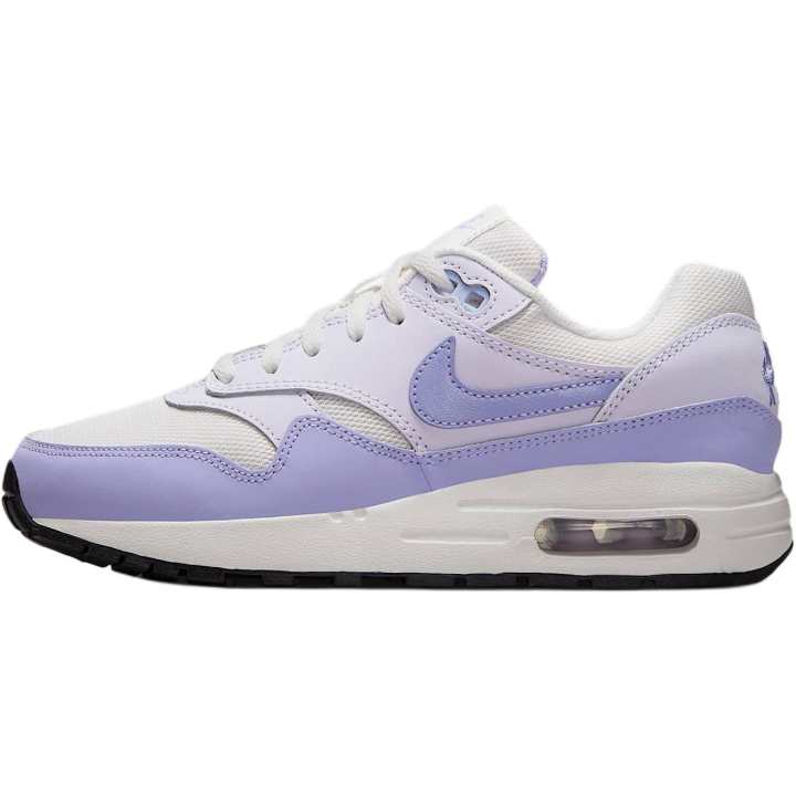Nike Nike Air Max 1 Low top Kids Lifestyle Shoes Gray Unisex