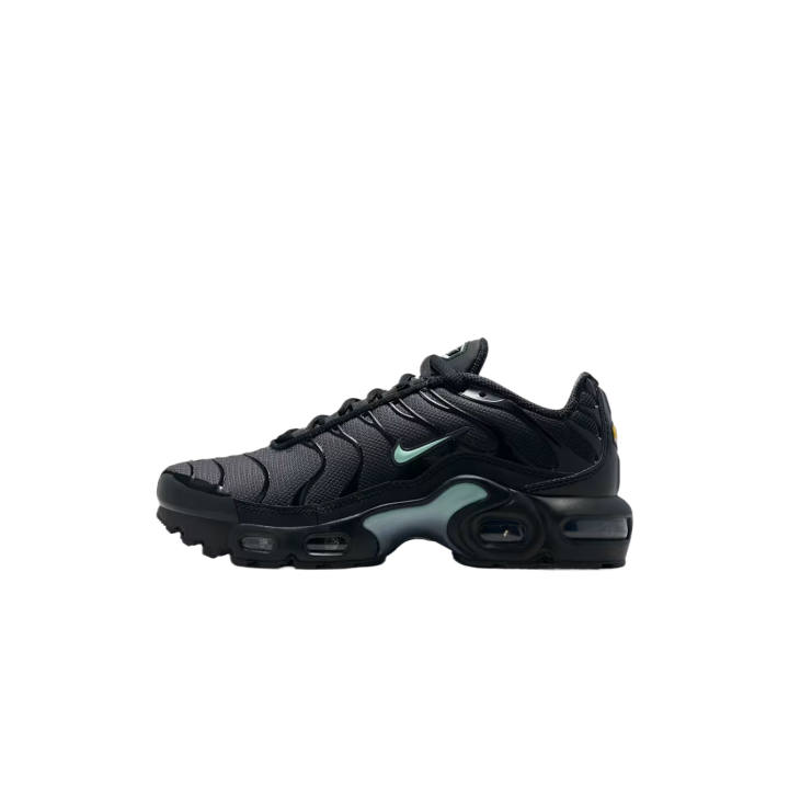 Nike Nike Air Max Plus Fabric Low top Training Shoes Unisex